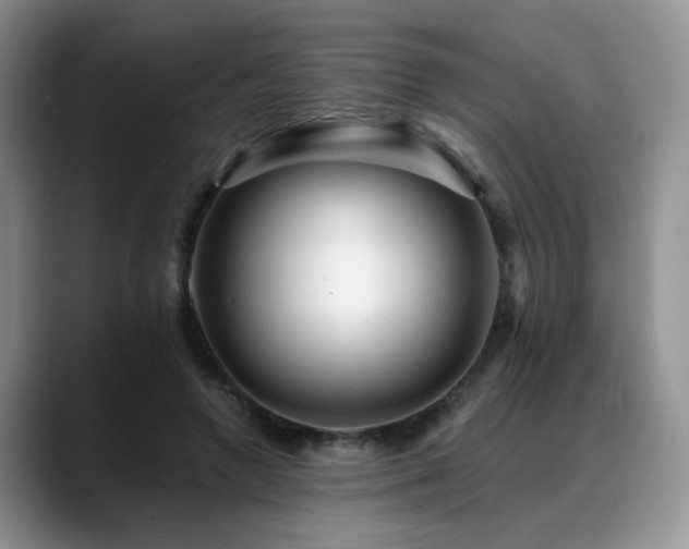 X0000088890546200706081250