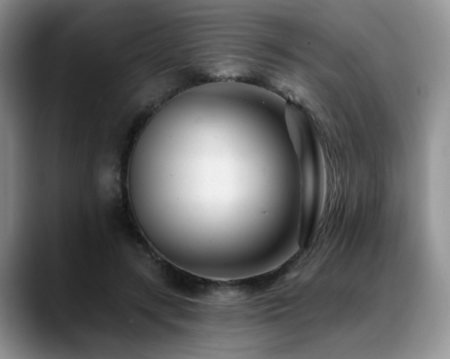 X0000088890547200706081250