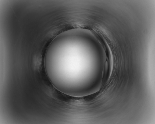 X0000088890548200706081250