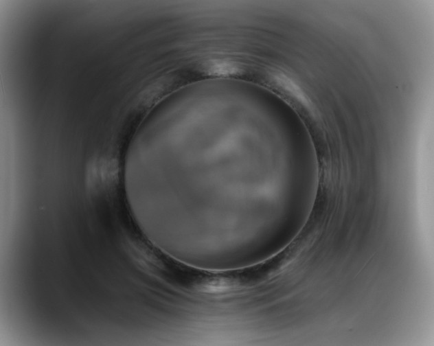 X0000088890549200706081250