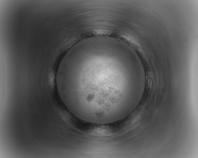 X0000088890550200706081250