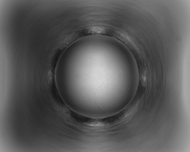 X0000088890551200706081250