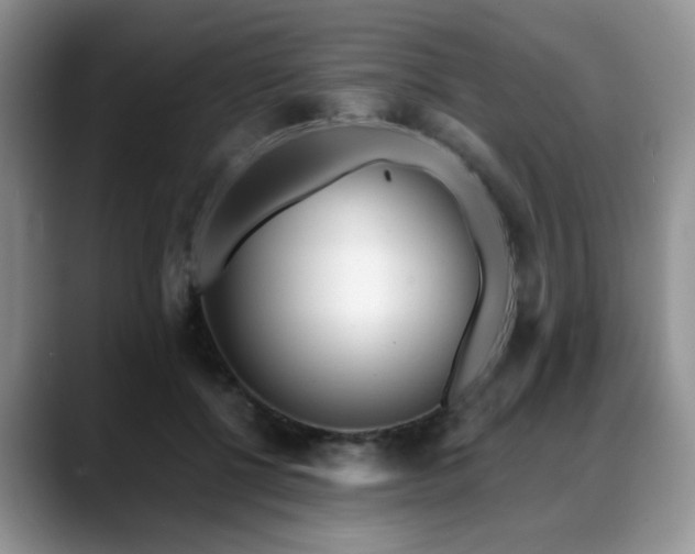 X0000088890552200706081250