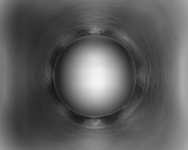 X0000088890554200706081250