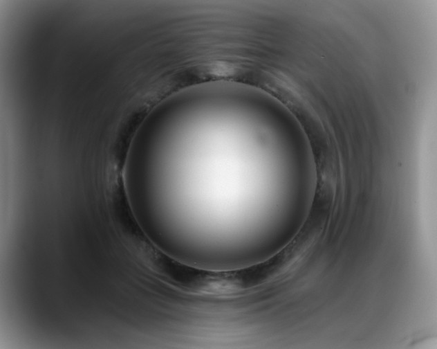 X0000088890555200706081250