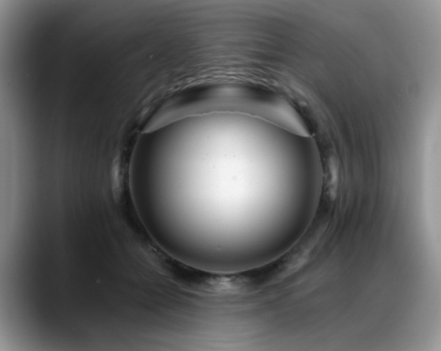 X0000088890558200706081250