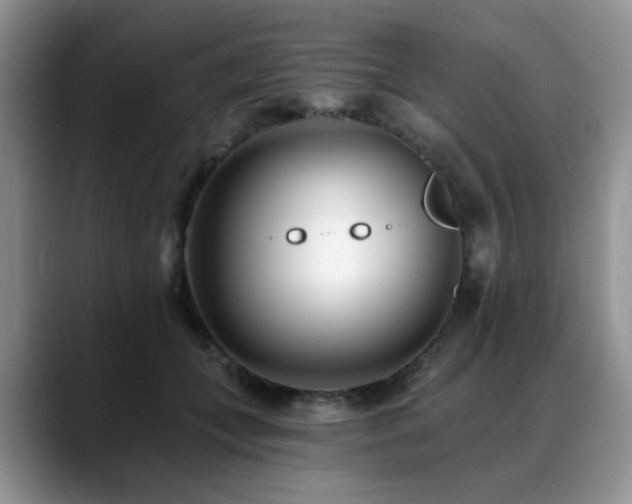 X0000088890559200706081250