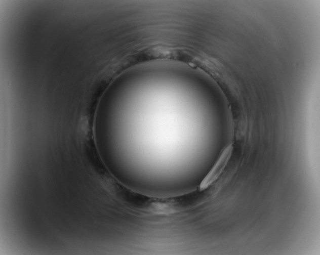 X0000088890560200706081250