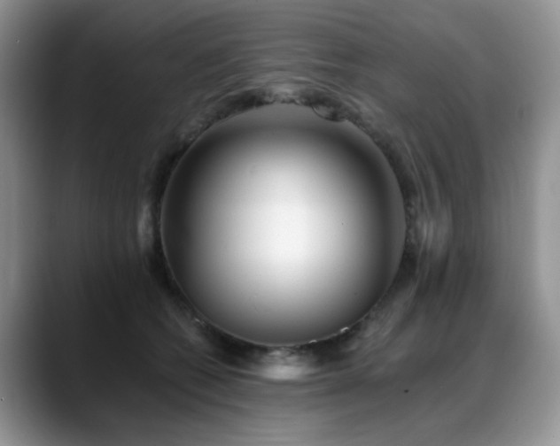 X0000088890562200706081250