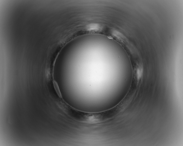 X0000088890564200706081250