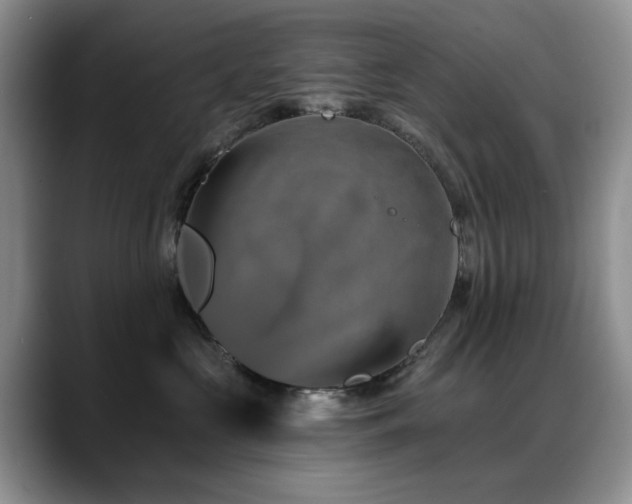 X0000088890573200706081250