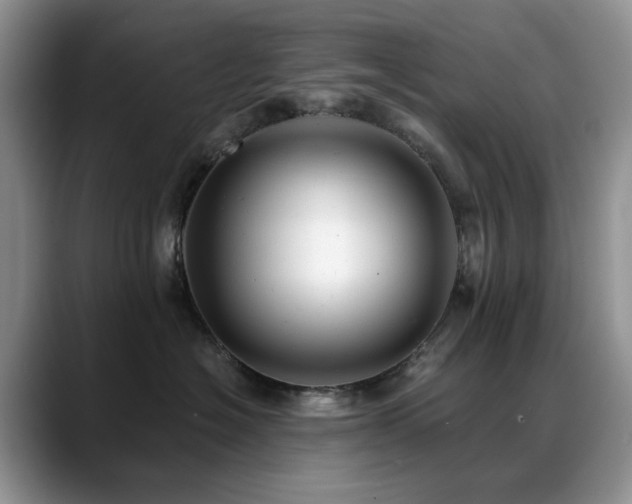 X0000088890574200706081250