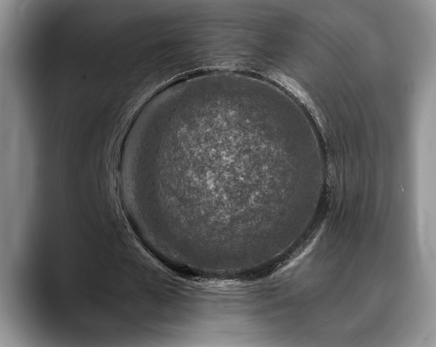 X0000088890577200706081249