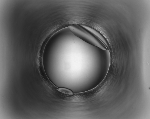 X0000088890578200706081249