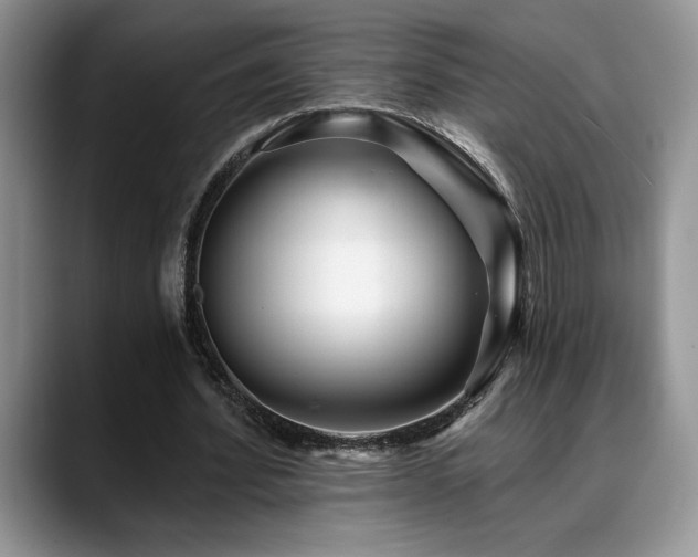 X0000088890580200706081249