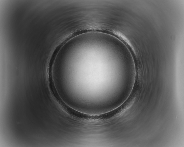 X0000088890581200706081249