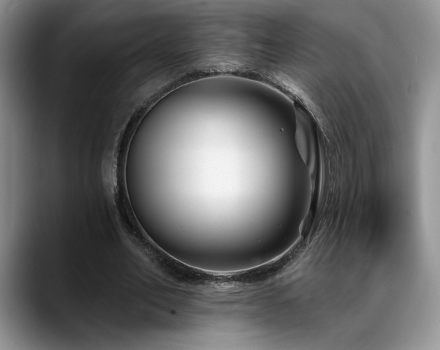 X0000088890582200706081249