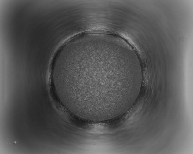 X0000088890583200706081249