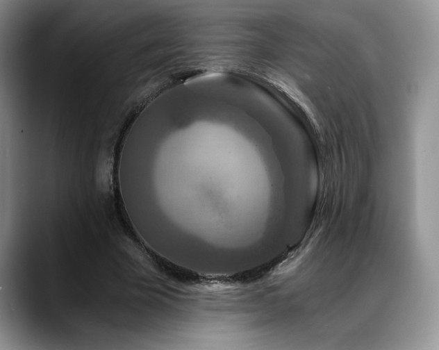 X0000088890585200706081249