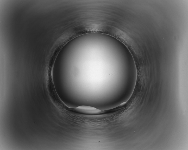 X0000088890586200706081249