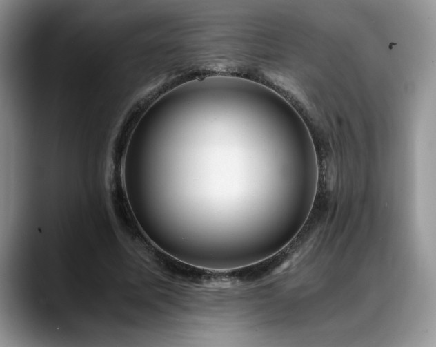 X0000088890587200706081249