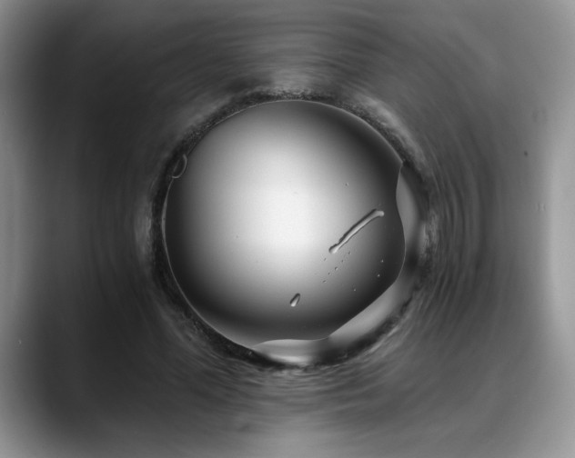 X0000088890588200706081249