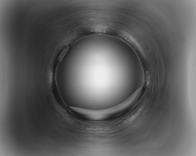 X0000088890589200706081249