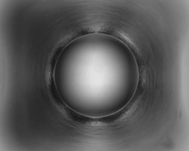 X0000088890590200706081249