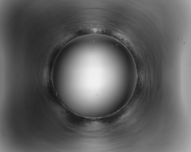 X0000088890594200706081249