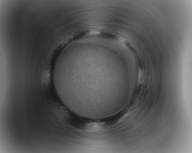 X0000088890595200706081249