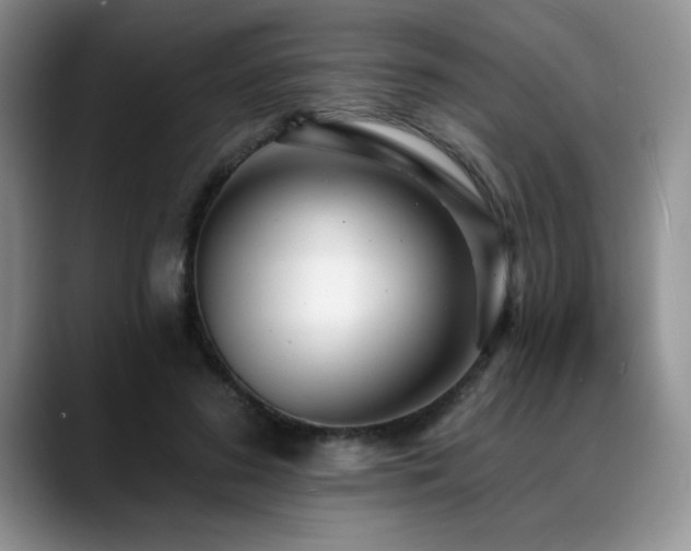 X0000088890596200706081249