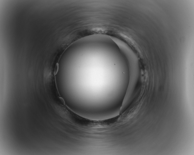 X0000088890597200706081249