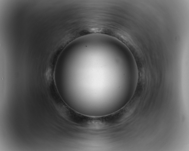 X0000088890598200706081249