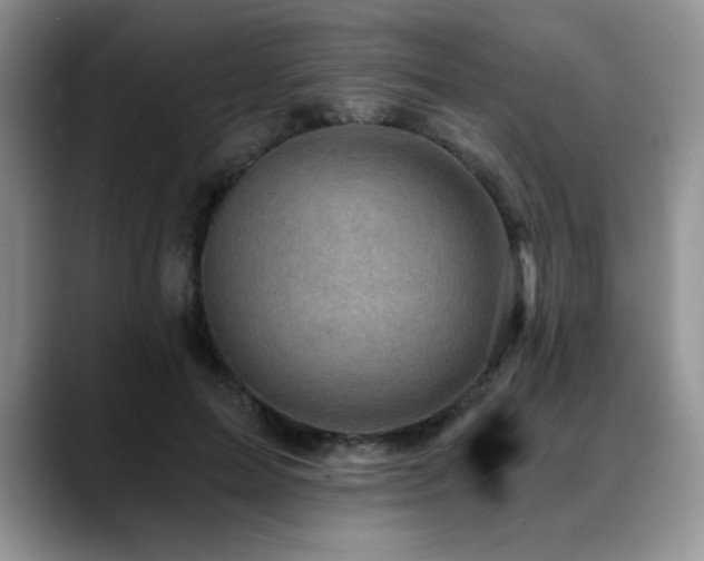 X0000088890599200706081249