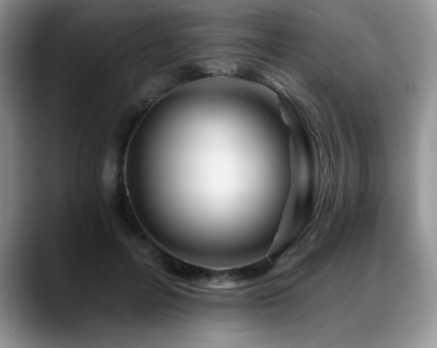 X0000088890600200706081249