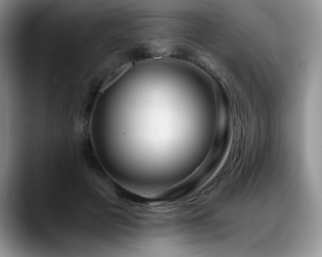 X0000088890601200706081249