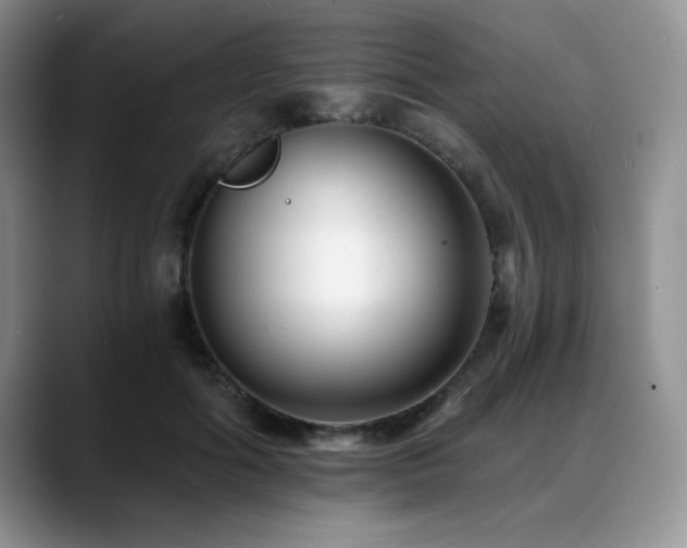 X0000088890602200706081249