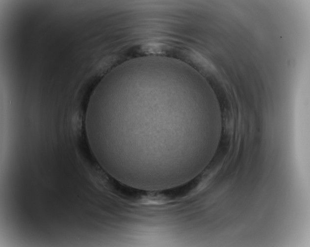 X0000088890603200706081249