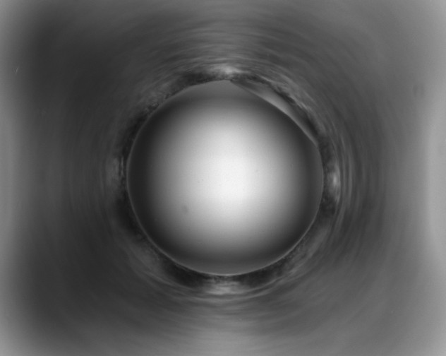 X0000088890605200706081249