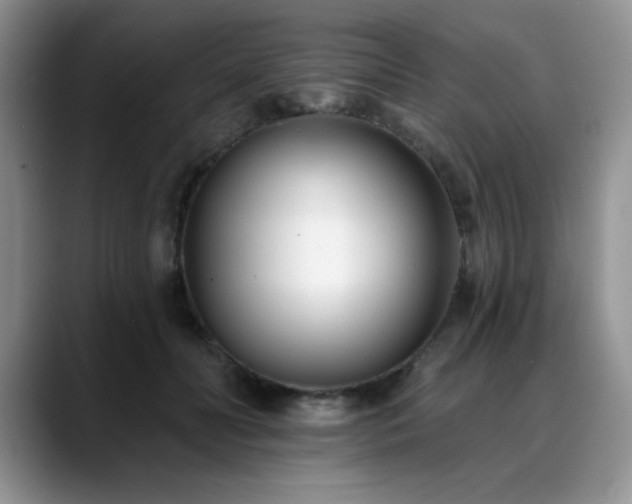 X0000088890606200706081249