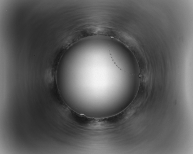 X0000088890607200706081249