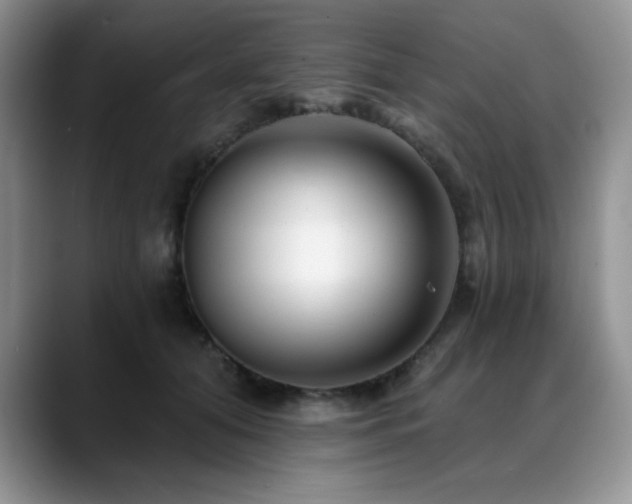 X0000088890608200706081249