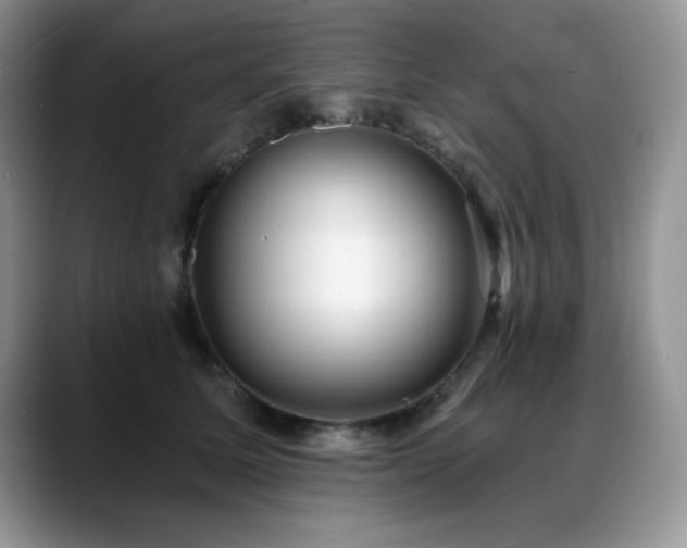 X0000088890611200706081249