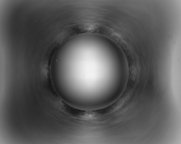 X0000088890612200706081249