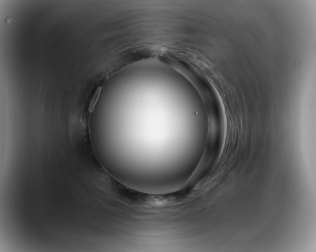 X0000088890613200706081249