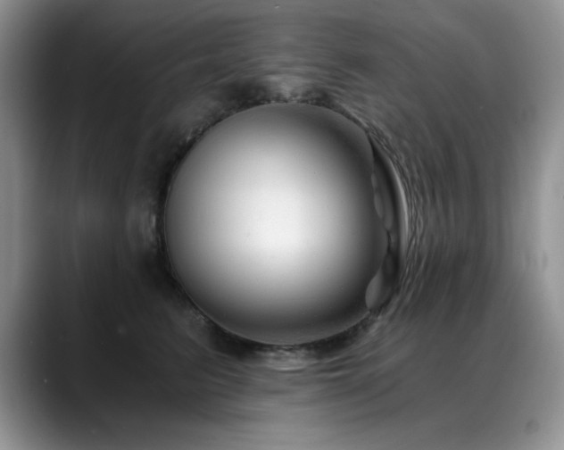 X0000088890615200706081249