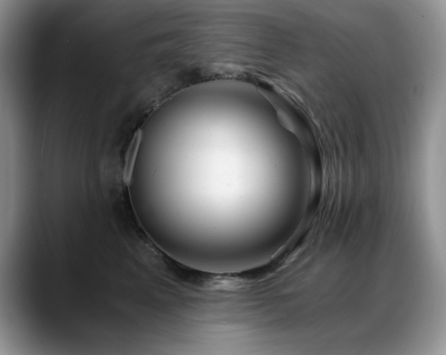 X0000088890617200706081249