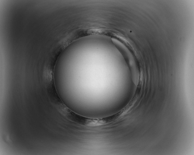 X0000088890621200706081249