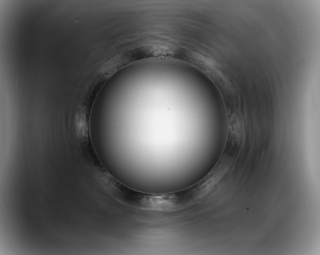 X0000088890622200706081249