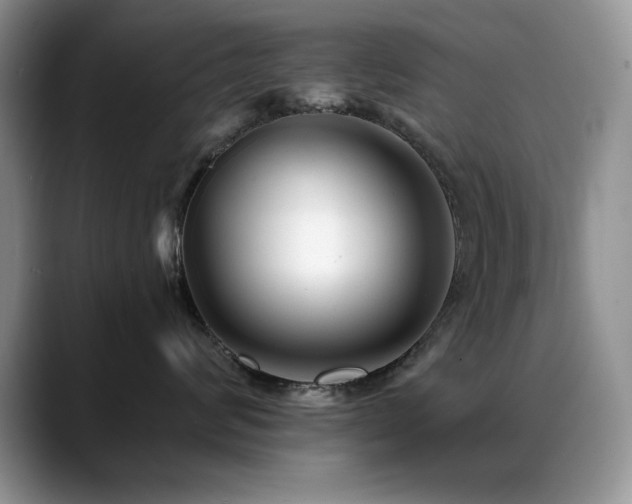 X0000088890624200706081249